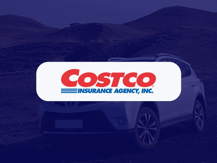 Pros And Cons Of Costco Auto Insurance at Ana Means blog