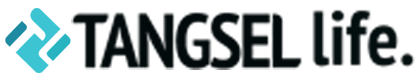 auto.tangselife.com